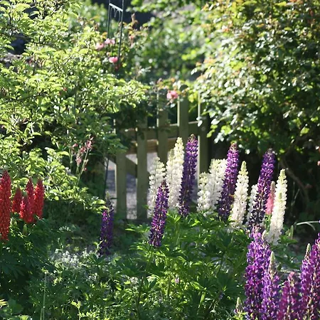 La Maison De Jeanne, Thiézac