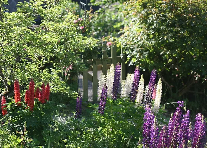 La Maison De Jeanne, Thiézac